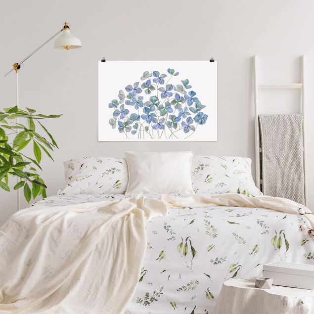 Poster - Blue Hydrangea Flowers