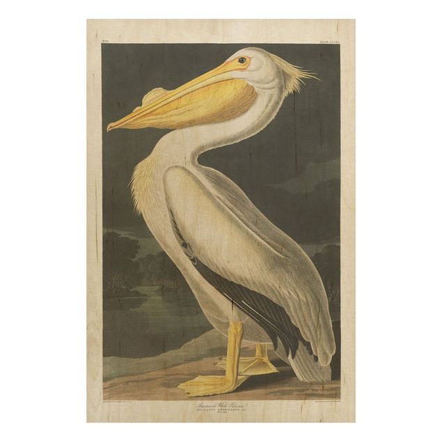 Print on wood - Vintage Board White Pelican