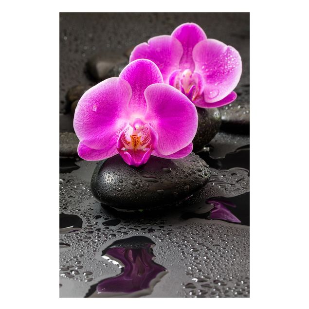 Magnetic memo board - Pink Orchid Flower On Stones With Drops
