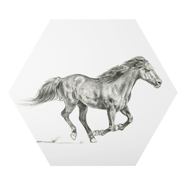 Alu-Dibond hexagon - Wild Horse Trial - Mare