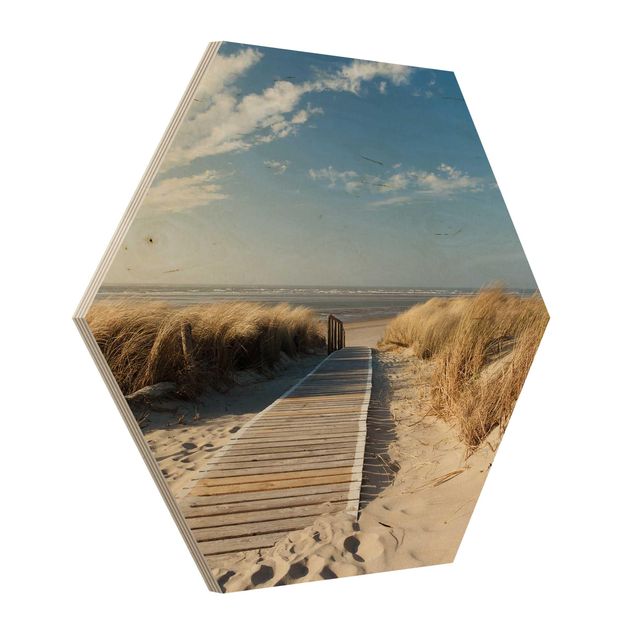 Wooden hexagon - Baltic Sea Beach