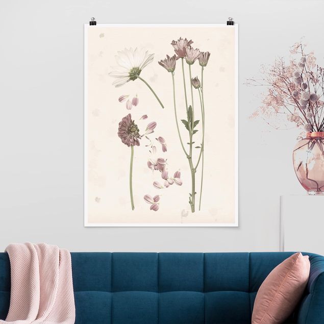 Poster flowers - Herbarium In Pink II