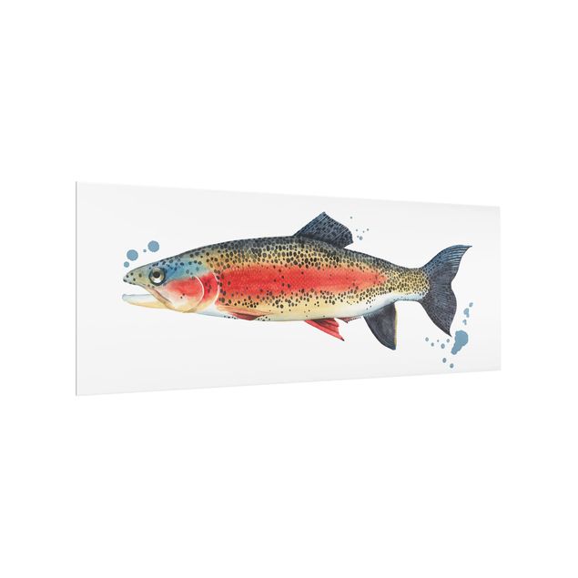 Splashback - Color Catch - Trout