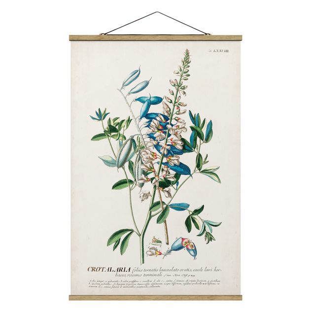 Fabric print with poster hangers - Vintage Botanical Illustration Legumes