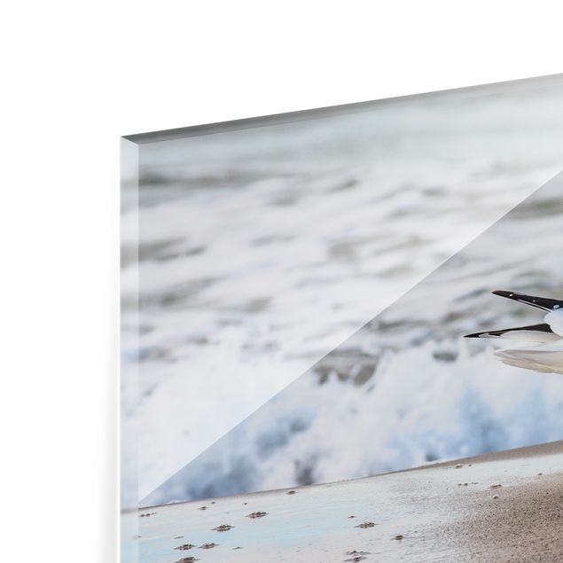 Glass Splashback - Seagull On The Beach In Front Of The Sea - Landscape 3:4