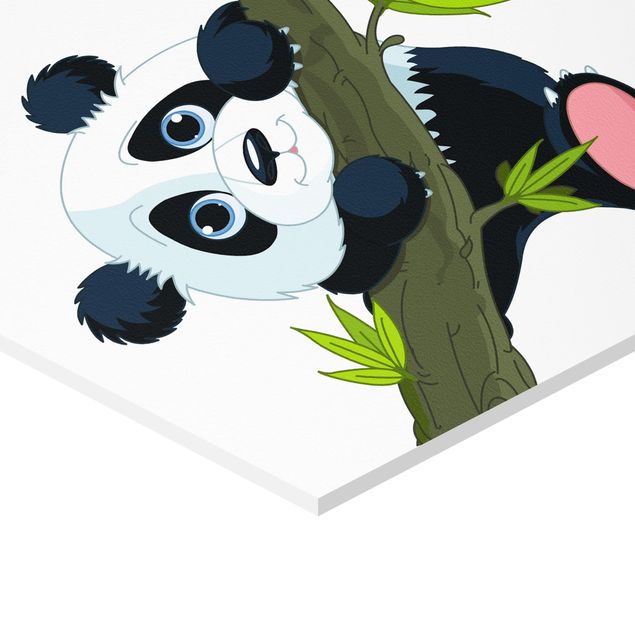 Forex hexagon - Climbing Panda