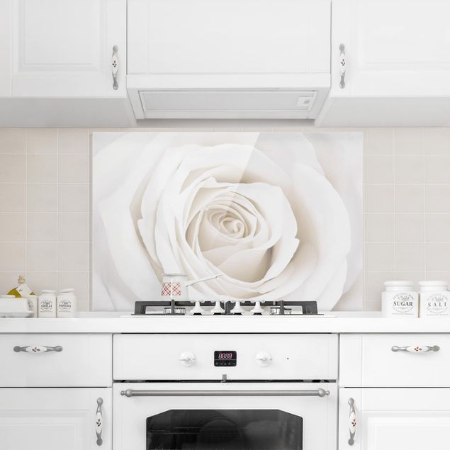 Glass splashback kitchen Pretty White Rose