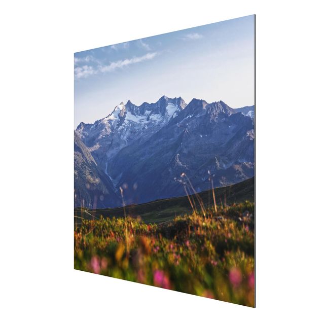 Print on aluminium - Flowering Meadow In The Mountains