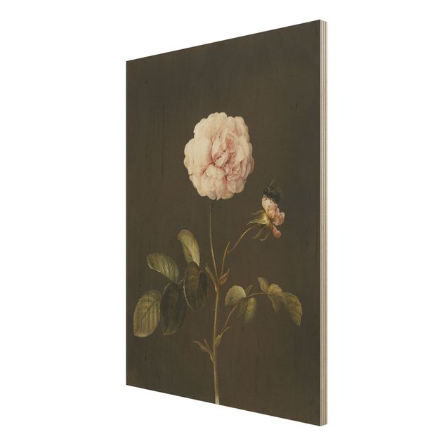 Print on wood - Barbara Regina Dietzsch - French Rose With Bumblbee