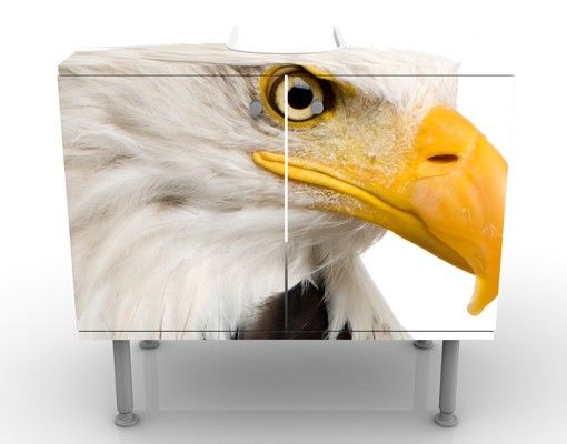 Wash basin cabinet design - Eye of the Eagle