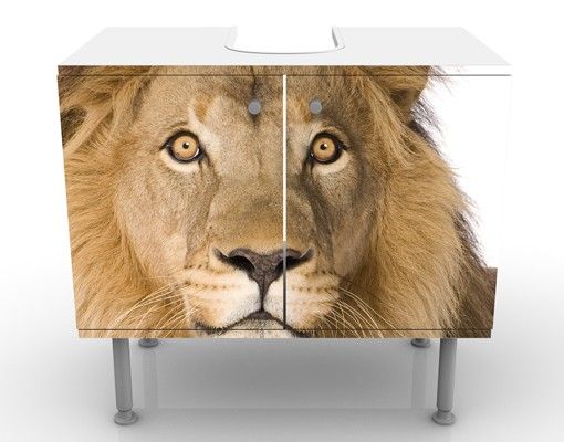 Wash basin cabinet design - King Lion ll