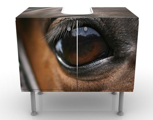Wash basin cabinet design - Horse Eye