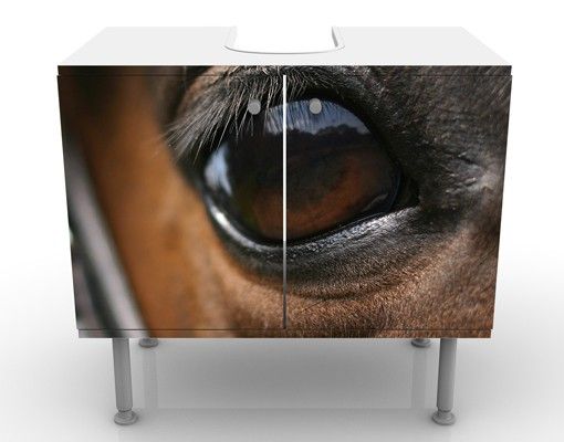 Wash basin cabinet design - Horse Eye
