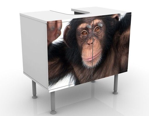 Wash basin cabinet design - Jolly Monkey