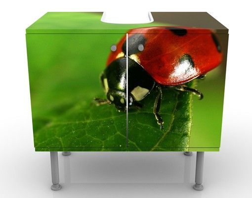 Wash basin cabinet design - Lady Bird