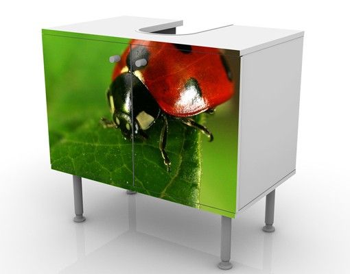 Wash basin cabinet design - Lady Bird