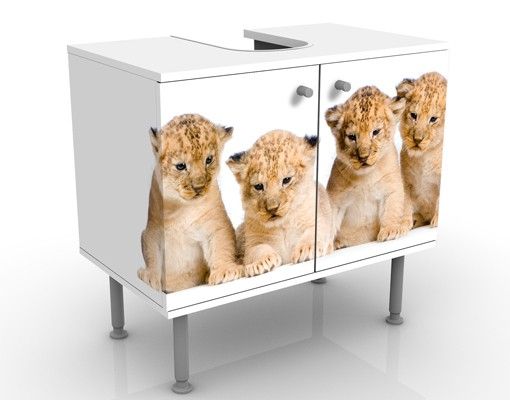 Wash basin cabinet design - Sweet Lion Babys