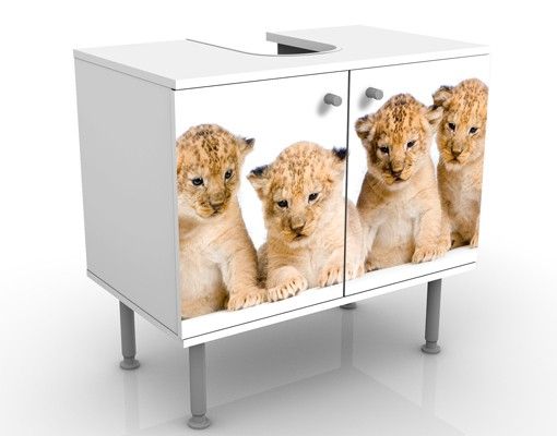 Wash basin cabinet design - Sweet Lion Babys