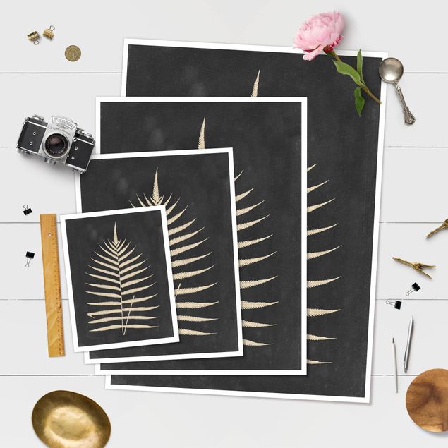 Poster flowers - Fern With Linen Structure III