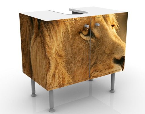 Wash basin cabinet design - King Lion