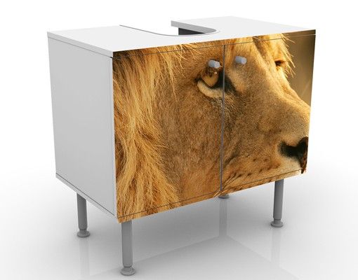 Wash basin cabinet design - King Lion