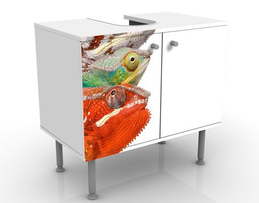 Wash basin cabinet design - Colourful Chameleon