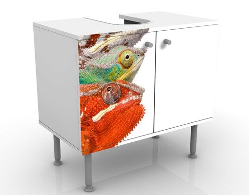 Wash basin cabinet design - Colourful Chameleon