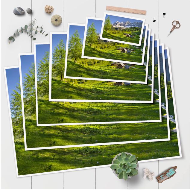 Poster - Styria Alpine Meadow