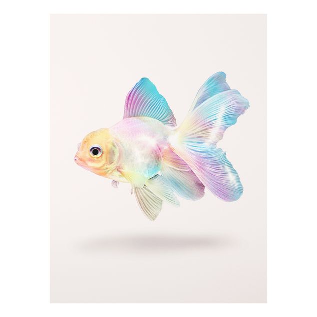 Print on forex - Fish In Pastel