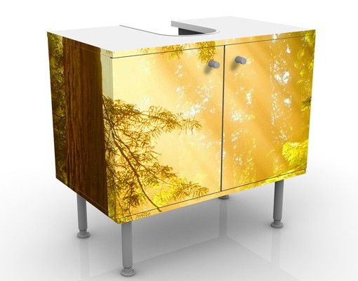 Wash basin cabinet design - Morning Gold