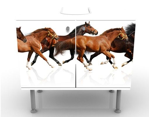 Wash basin cabinet design - Horse Herd