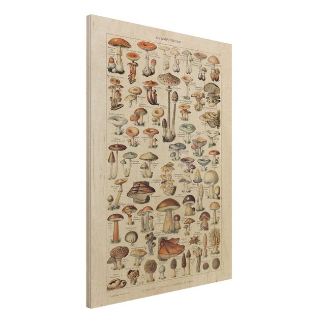 Print on wood - Vintage Board Mushrooms
