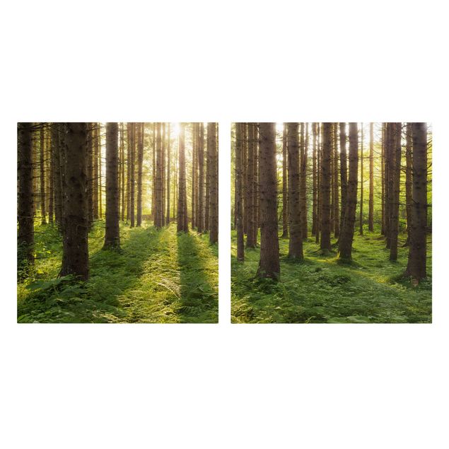 Print on canvas 2 parts - Sun Rays In Green Forest
