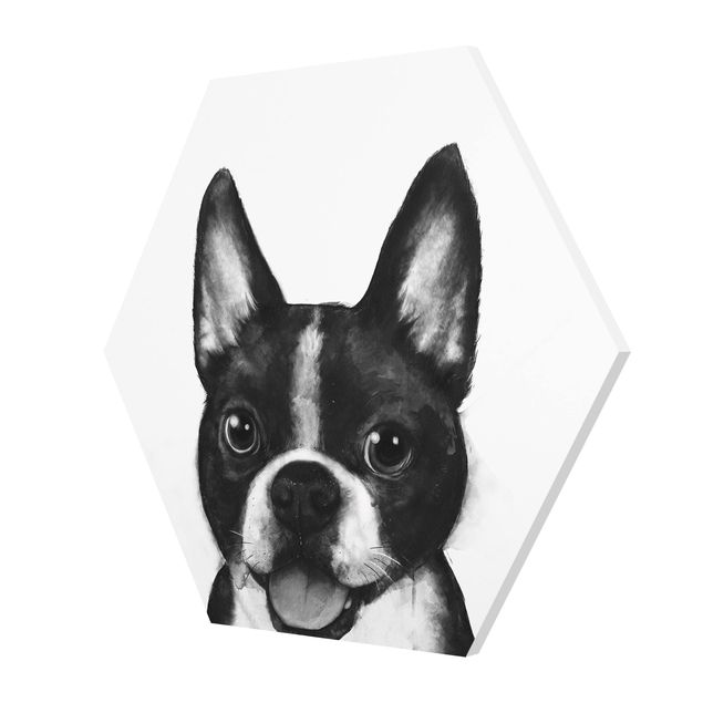 Forex hexagon - Illustration Dog Boston Black And White Painting