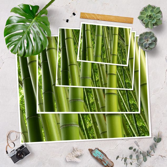Poster - Bamboo Trees No.2
