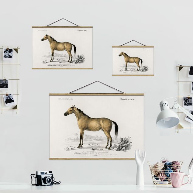 Fabric print with poster hangers - Vintage Board Horse