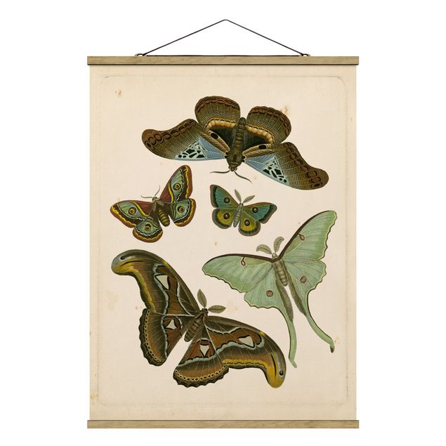 Fabric print with poster hangers - Vintage Illustration Exotic Butterflies II