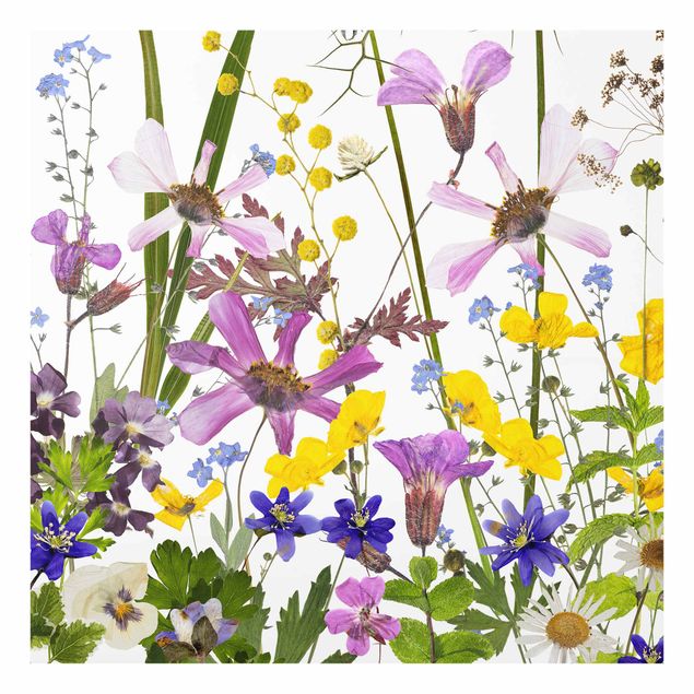 Splashback - Fragrant Flower Meadow - Square 1:1