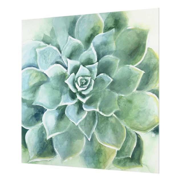Glass Splashback - Succulent Watercolor Dark - Square 1:1