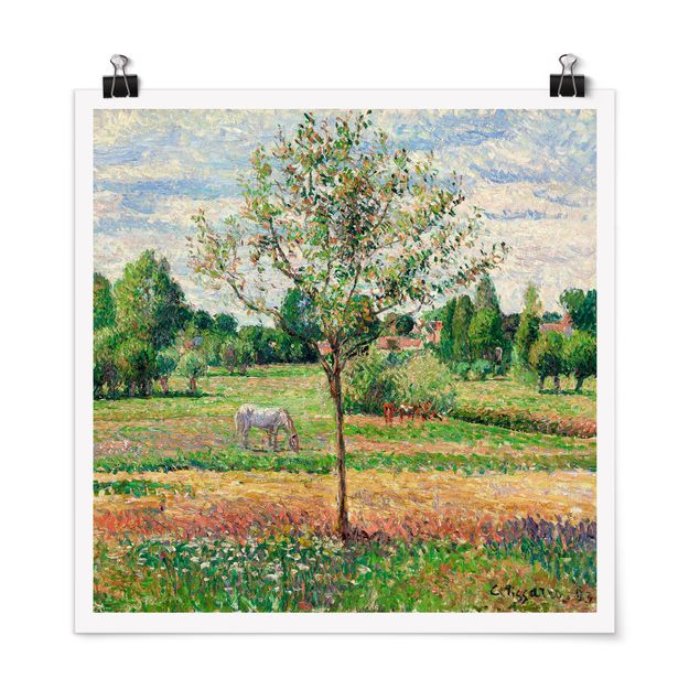 Poster - Camille Pissarro - Meadow with Grey Horse, Eragny