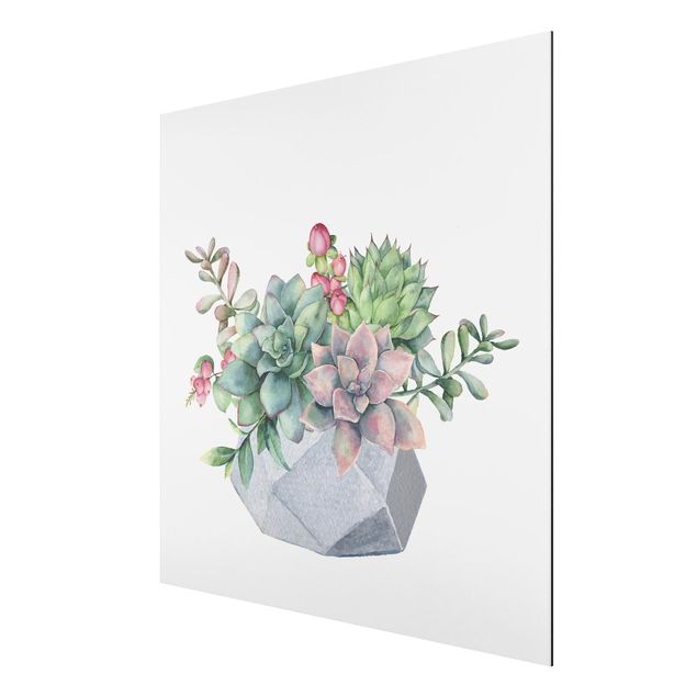 Print on aluminium - Watercolour Succulents Illustration