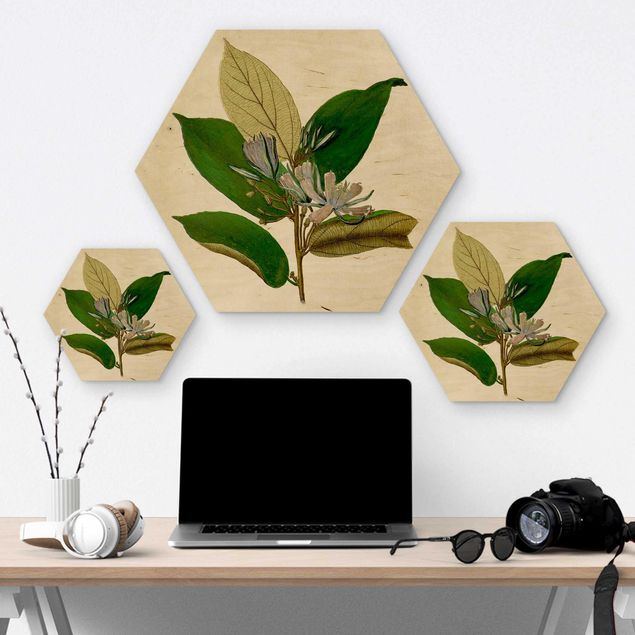 Wooden hexagon - Deciduous Poster IV