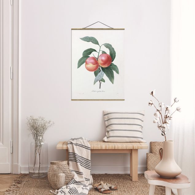 Fabric print with poster hangers - Botany Vintage Illustration Peach