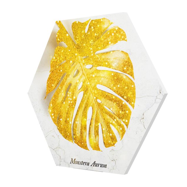 Forex hexagon - Gold - Monstera Aurum