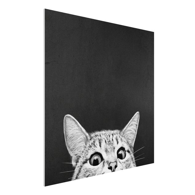 Print on forex - Illustration Cat Black And White Drawing