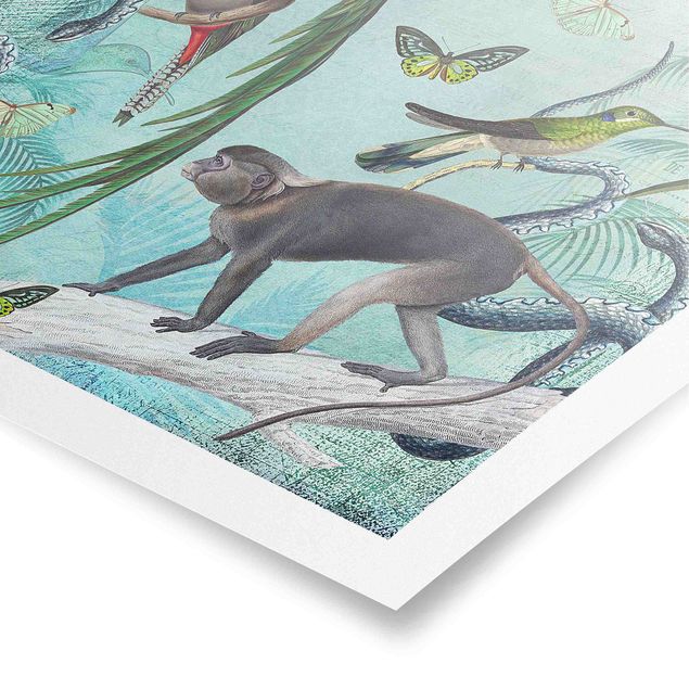 Poster - Colonial Style Collage - Monkeys And Birds Of Paradise