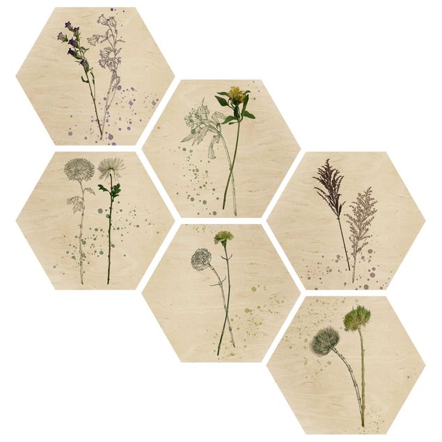 Wooden hexagon - Botanical Watercolour Set II
