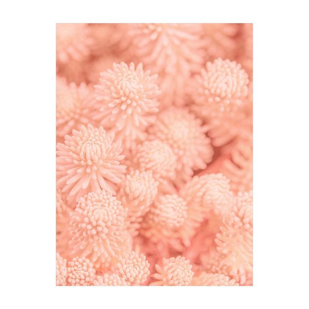 jungle nursery rug Light Pink Floral Magic Sedum