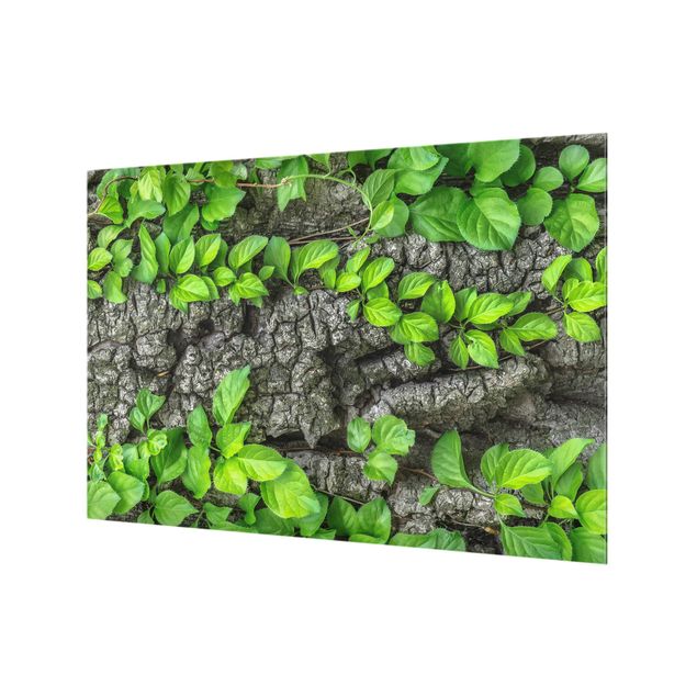 Splashback - Ivy Tendrils Tree Bark