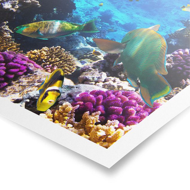 Poster - Underwater Dreams